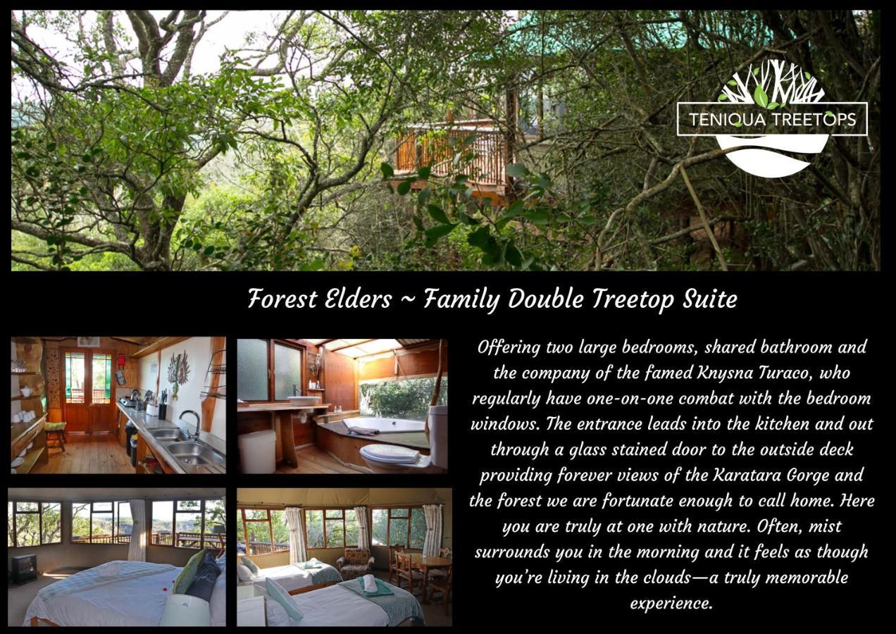 Teniqua Treetops Karatara Settlement Exteriér fotografie