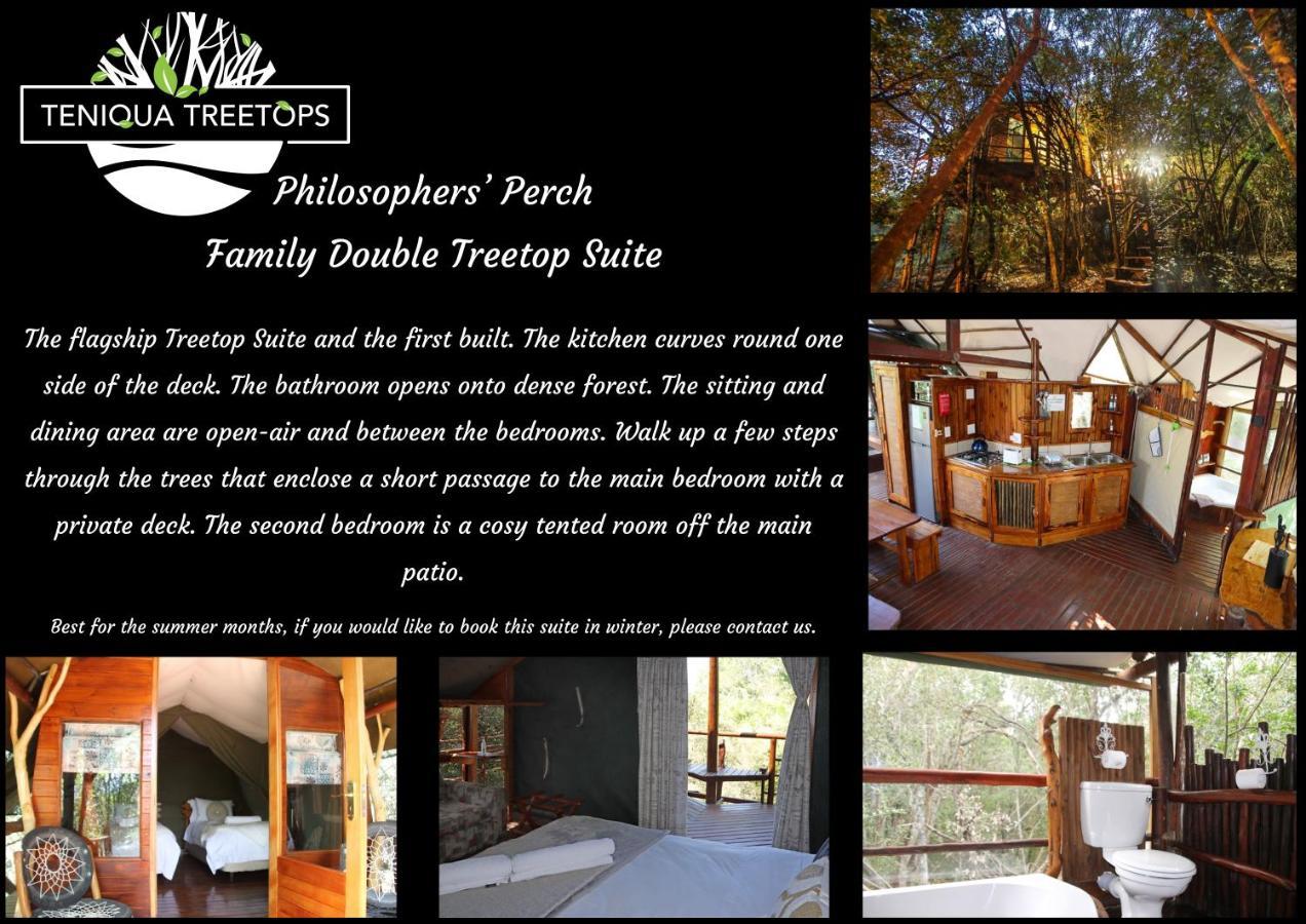 Teniqua Treetops Karatara Settlement Exteriér fotografie
