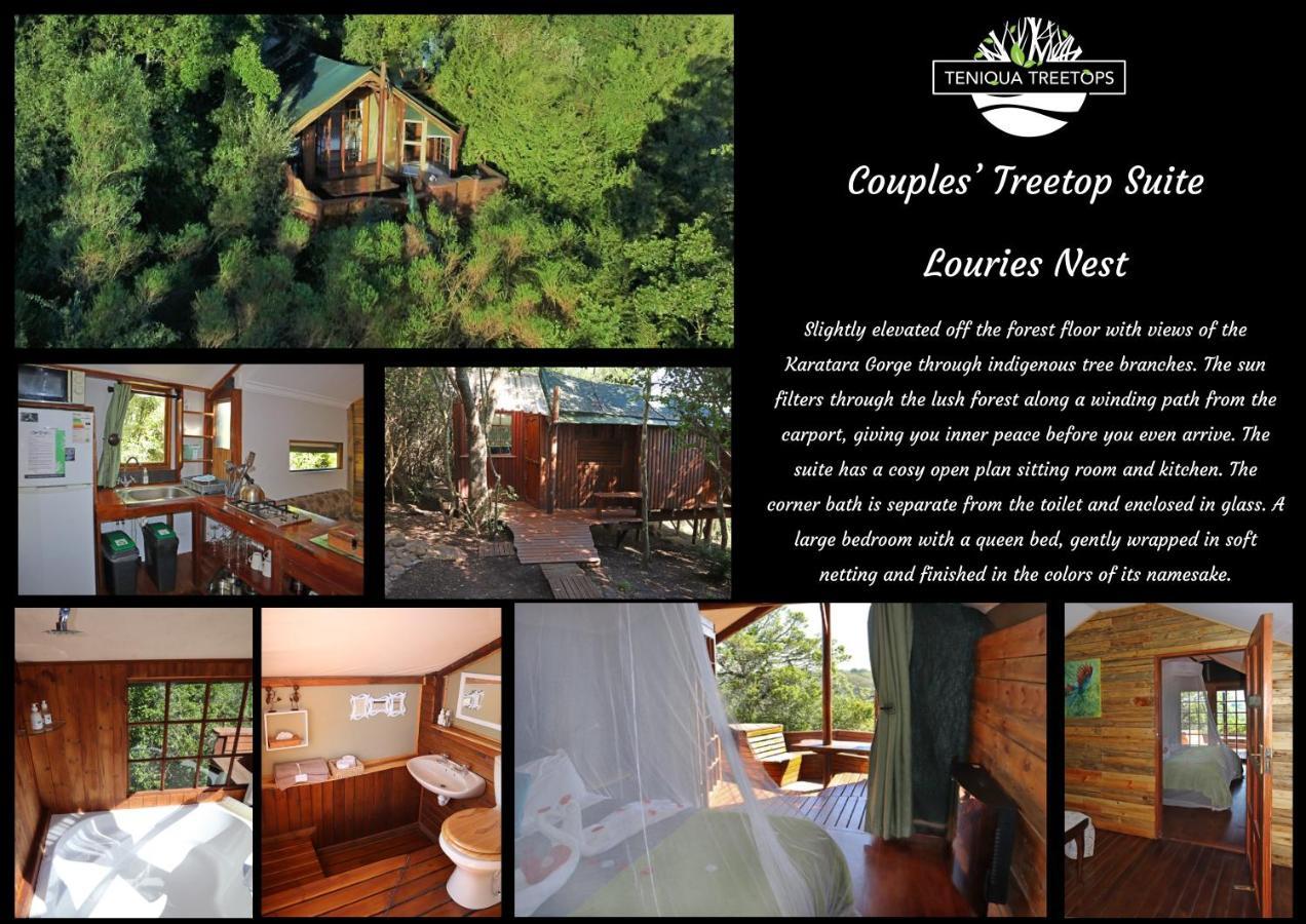 Teniqua Treetops Karatara Settlement Exteriér fotografie
