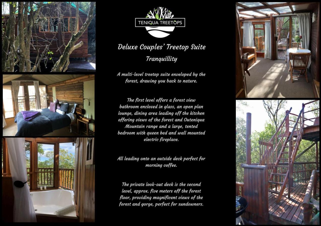 Teniqua Treetops Karatara Settlement Exteriér fotografie