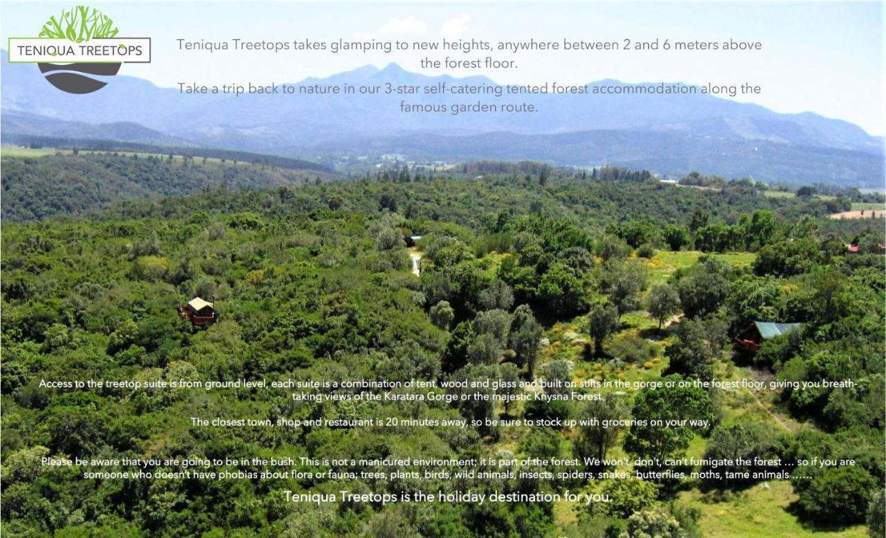 Teniqua Treetops Karatara Settlement Exteriér fotografie