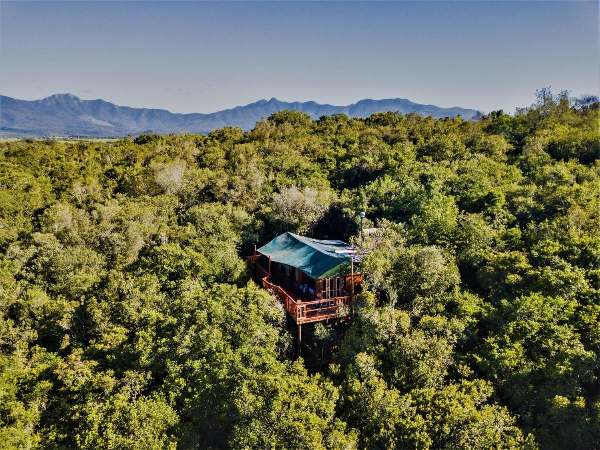 Teniqua Treetops Karatara Settlement Exteriér fotografie