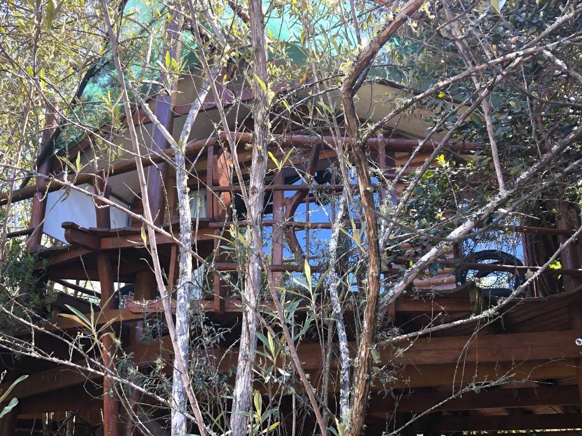 Teniqua Treetops Karatara Settlement Exteriér fotografie