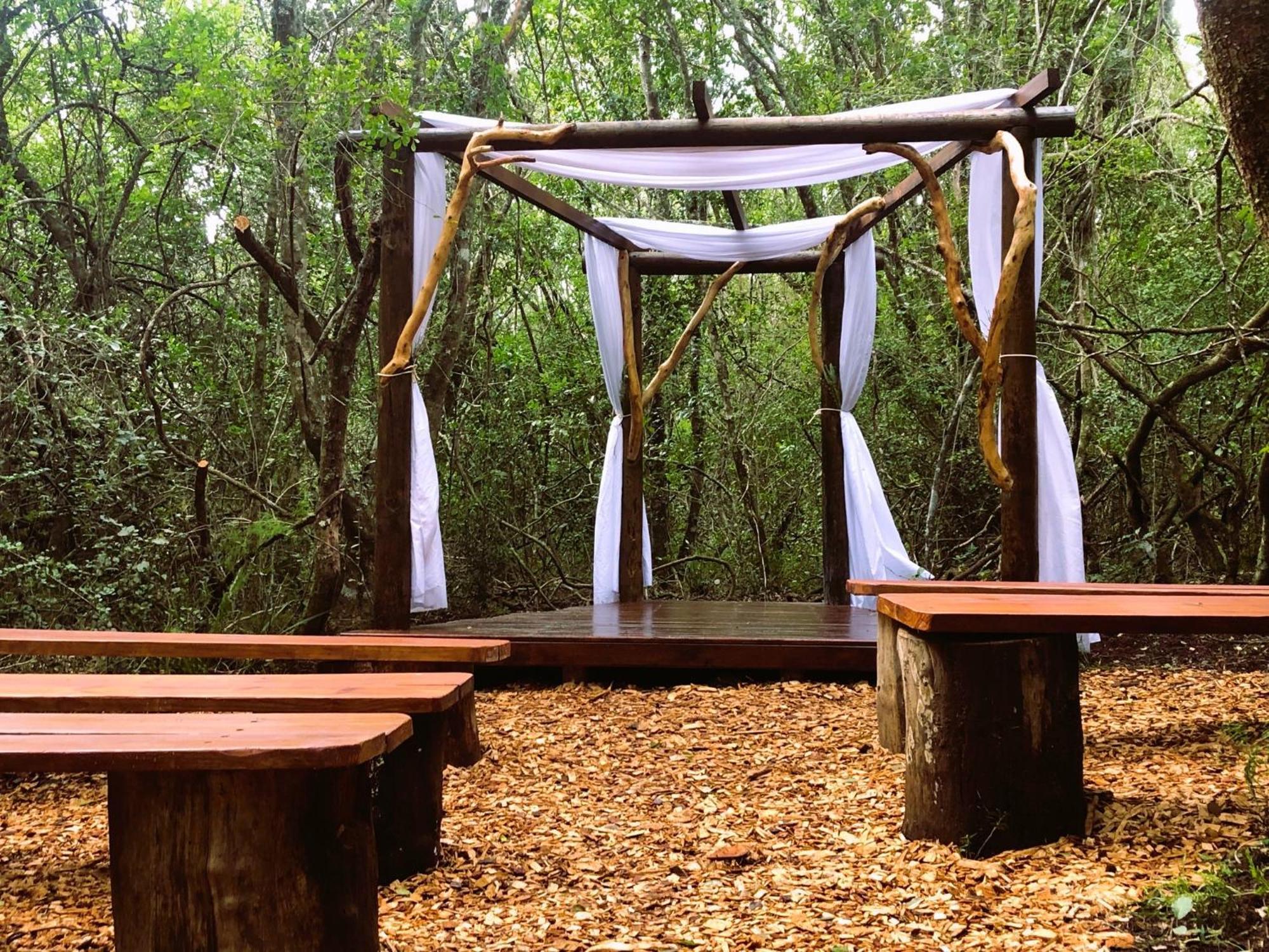 Teniqua Treetops Karatara Settlement Exteriér fotografie