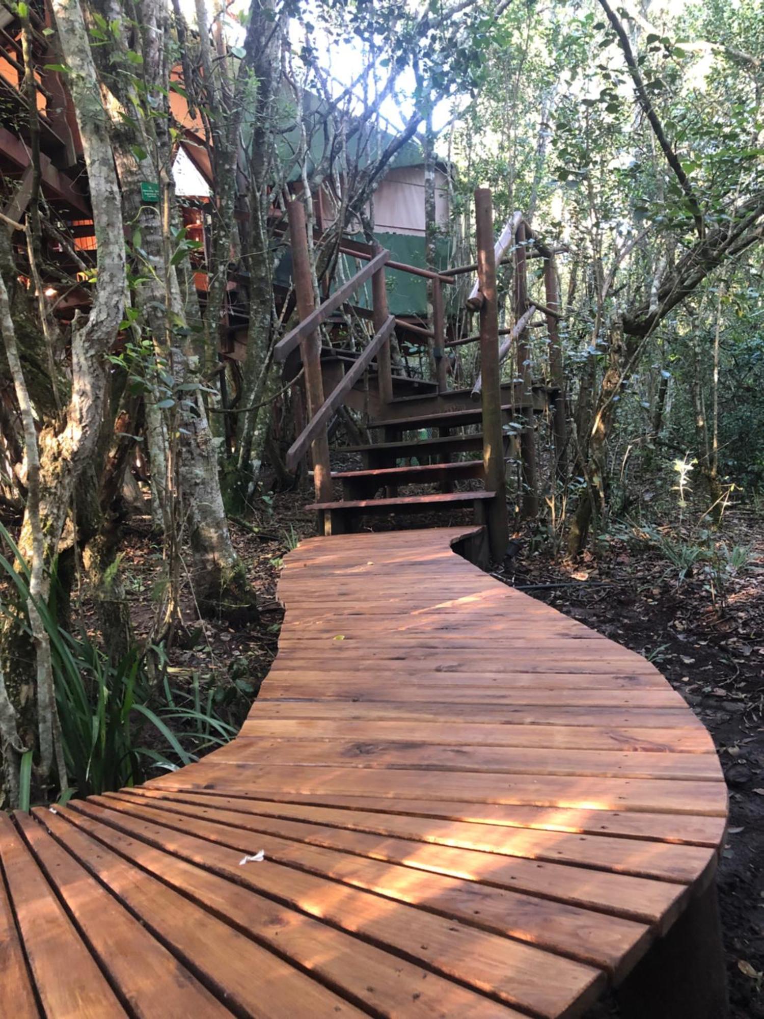 Teniqua Treetops Karatara Settlement Exteriér fotografie
