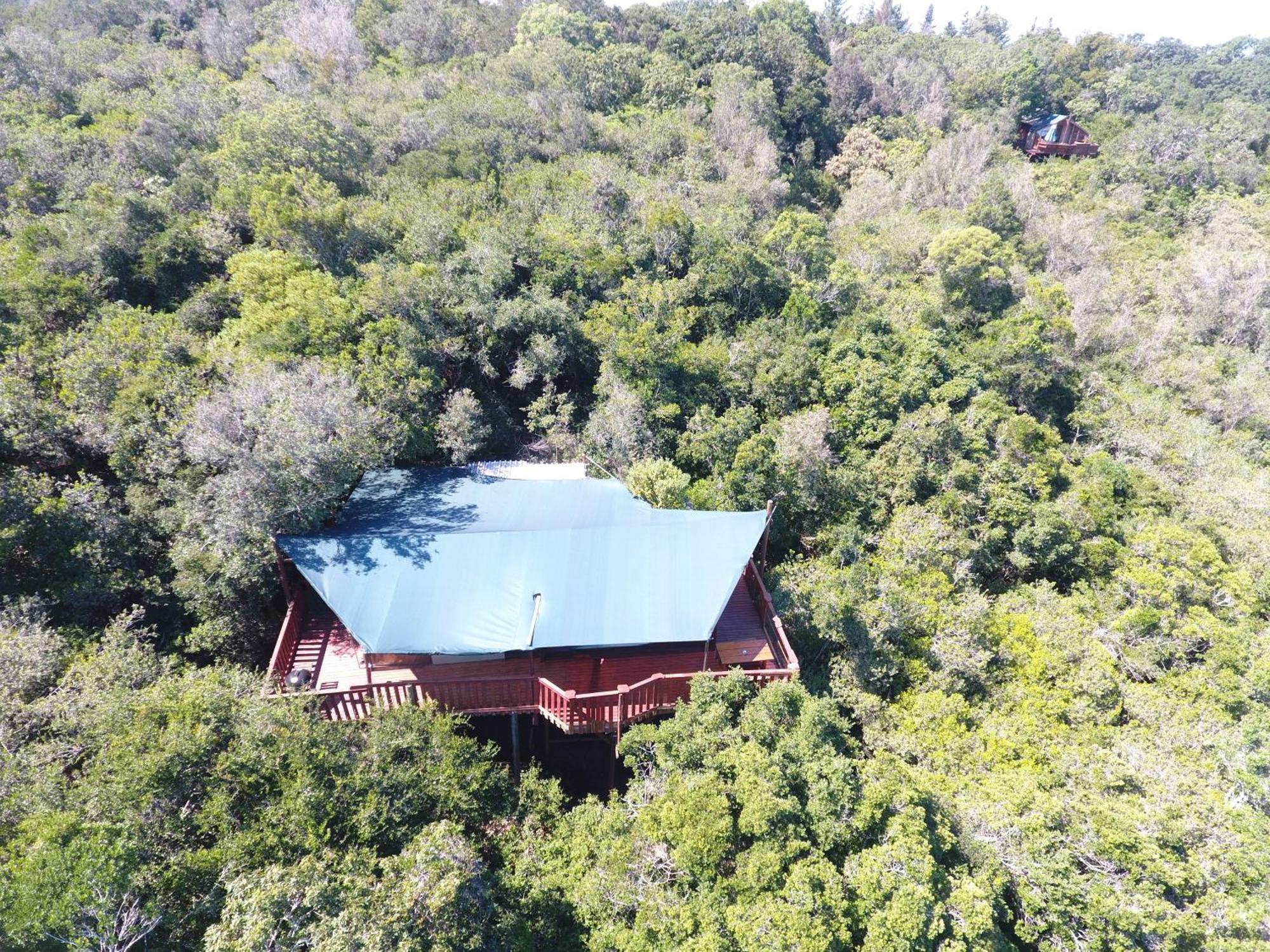 Teniqua Treetops Karatara Settlement Exteriér fotografie