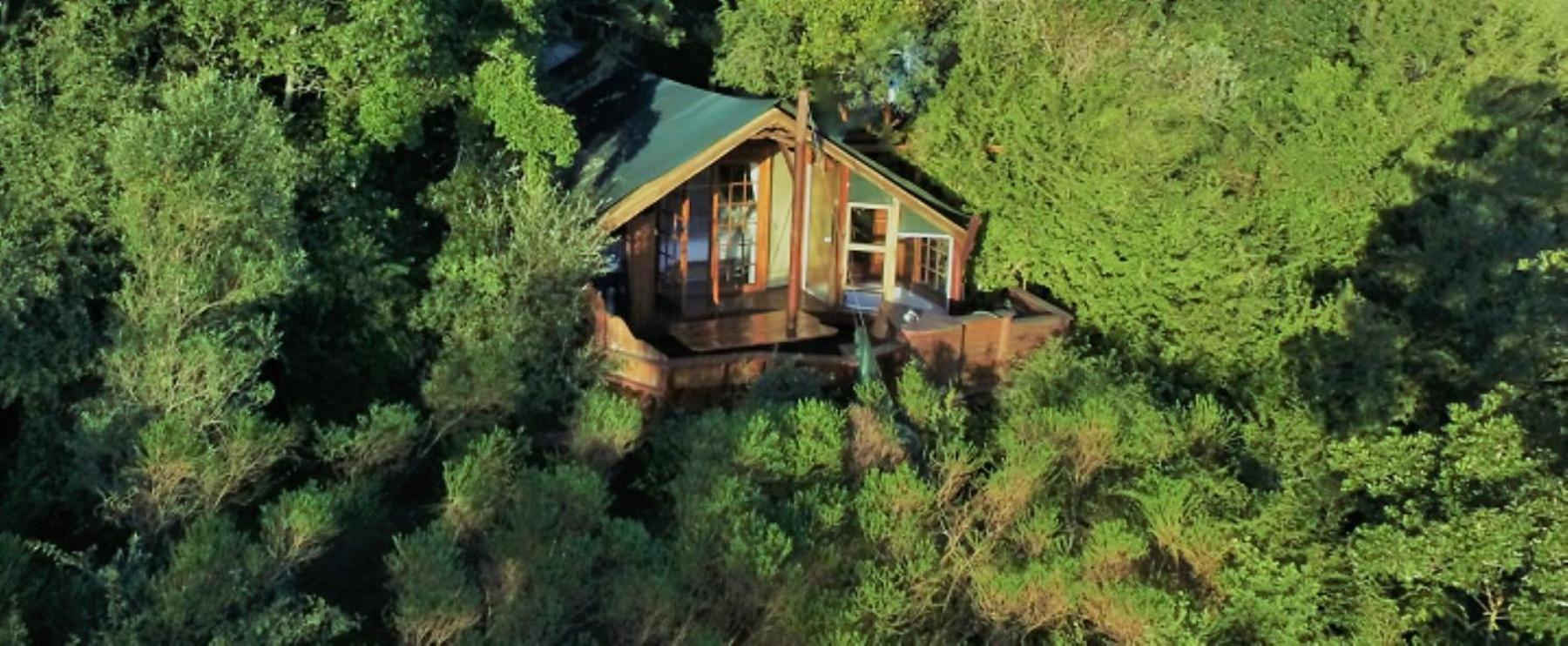 Teniqua Treetops Karatara Settlement Exteriér fotografie