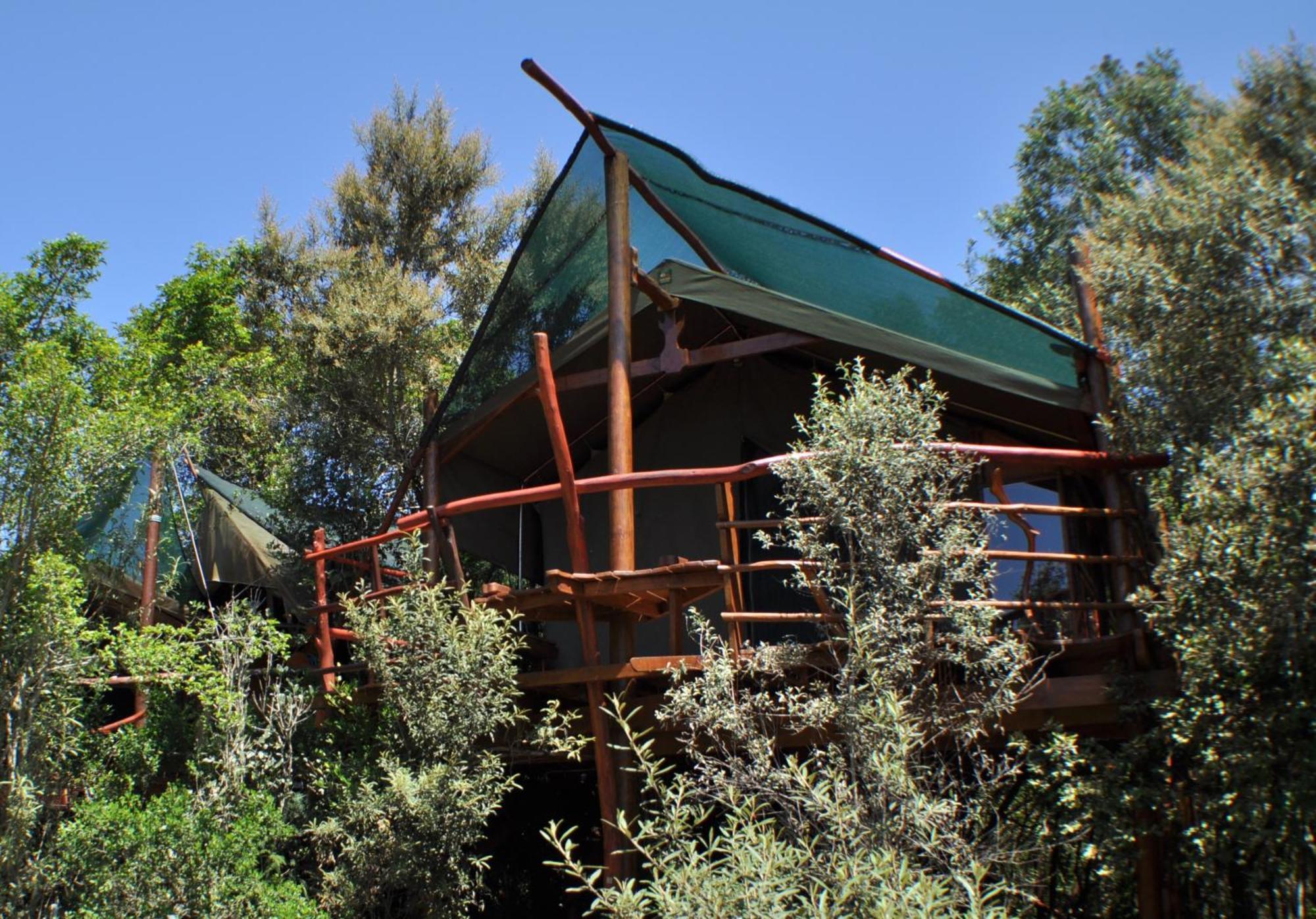 Teniqua Treetops Karatara Settlement Exteriér fotografie