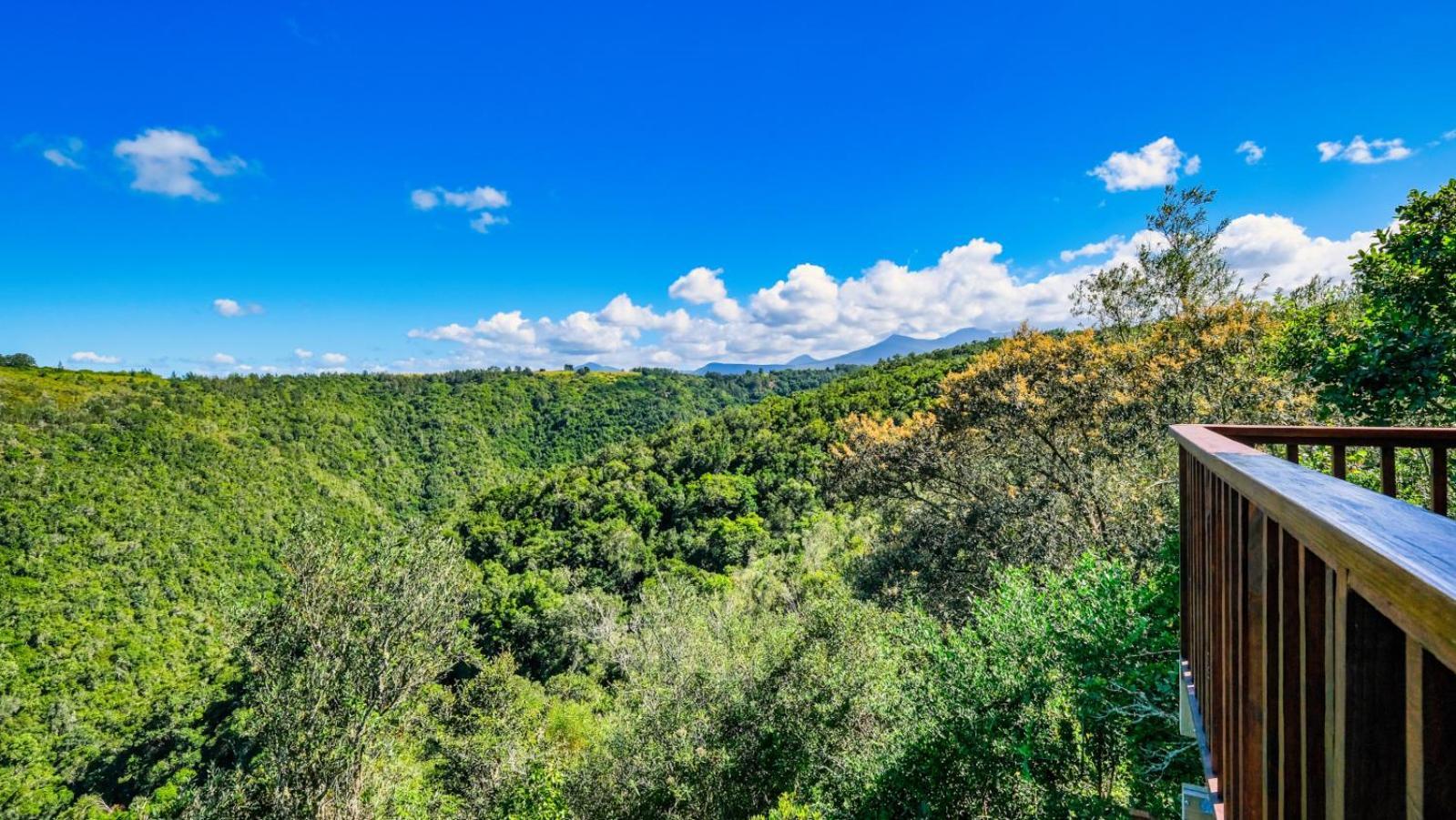 Teniqua Treetops Karatara Settlement Exteriér fotografie
