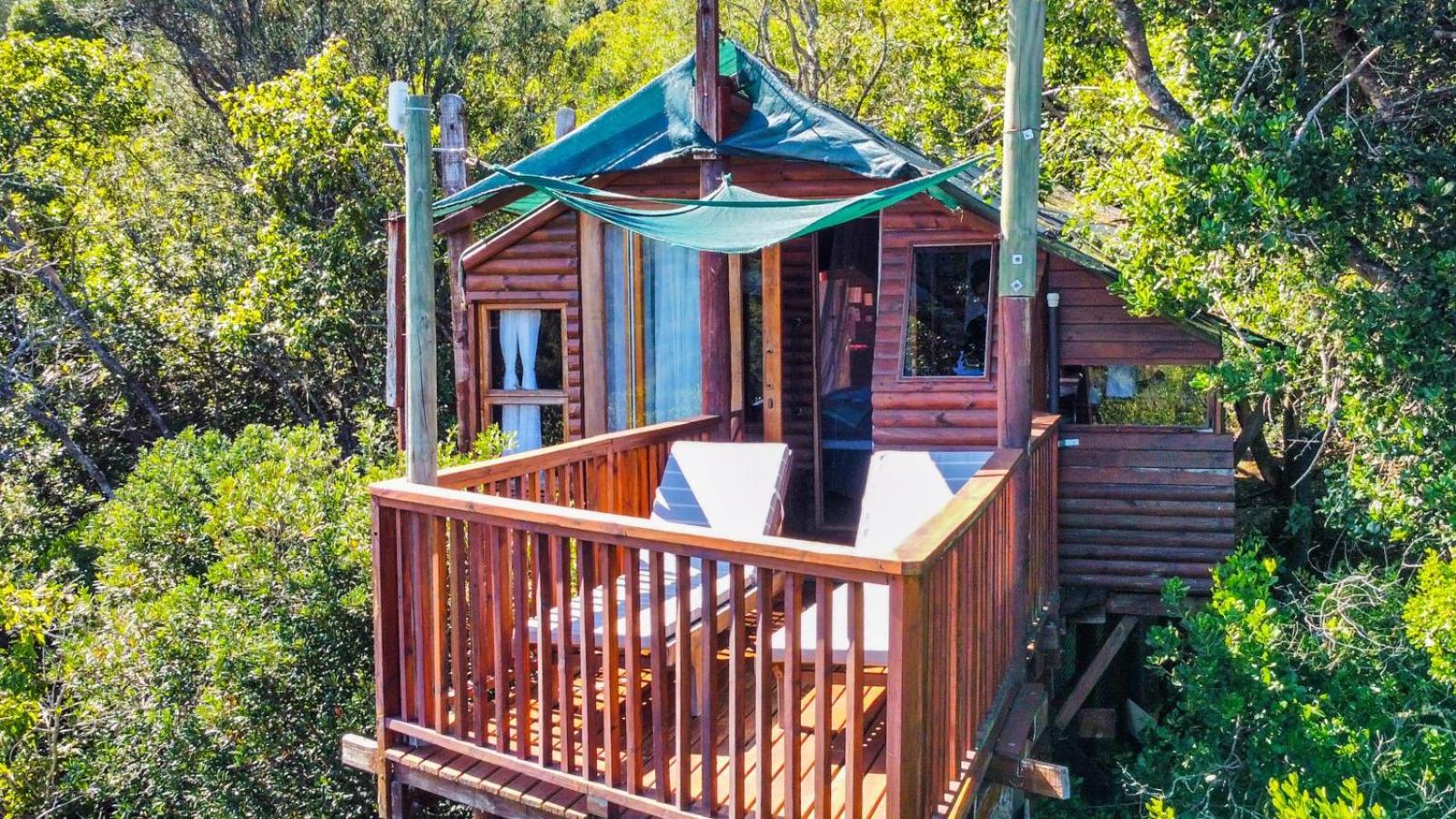 Teniqua Treetops Karatara Settlement Pokoj fotografie