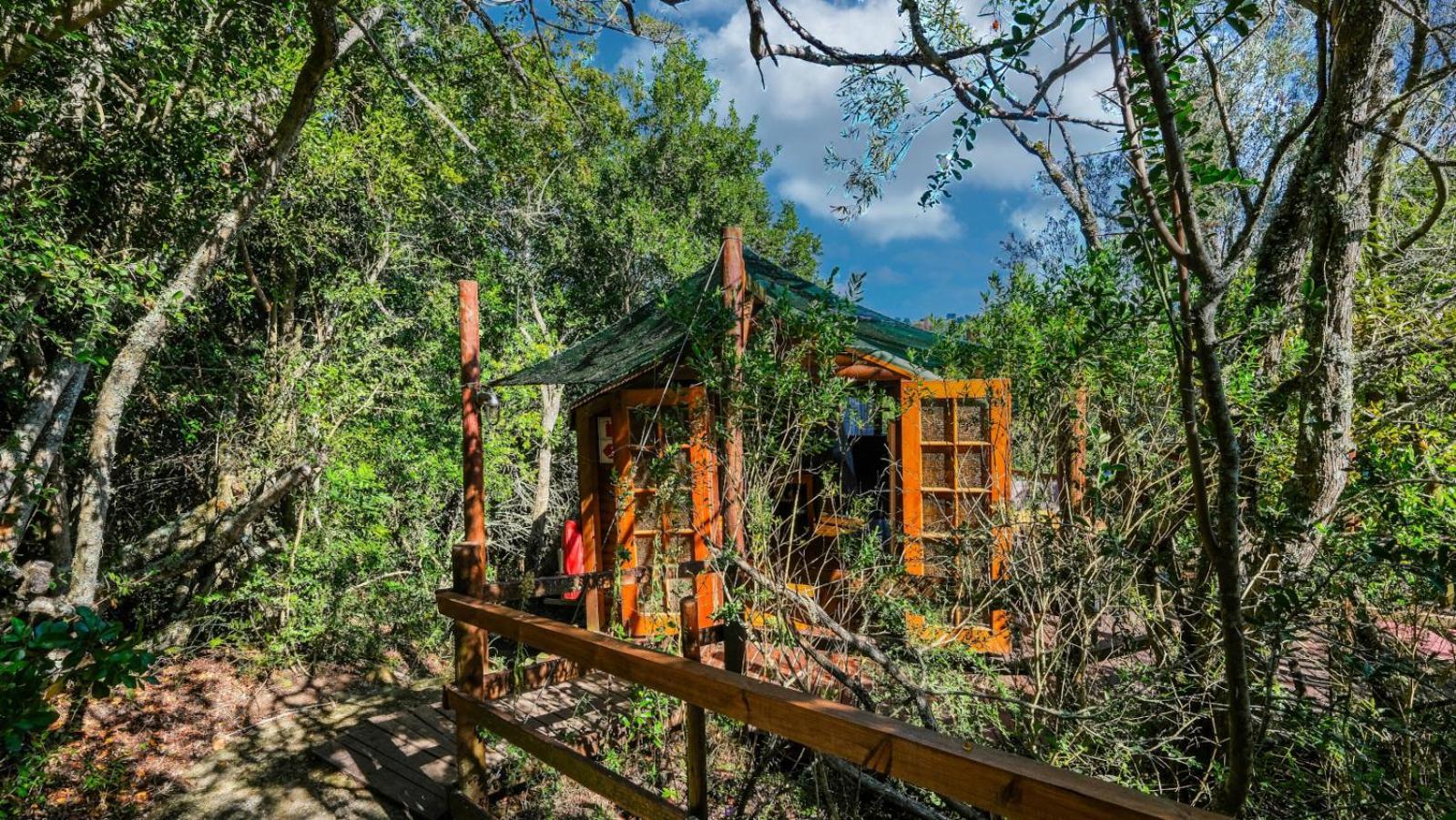 Teniqua Treetops Karatara Settlement Pokoj fotografie