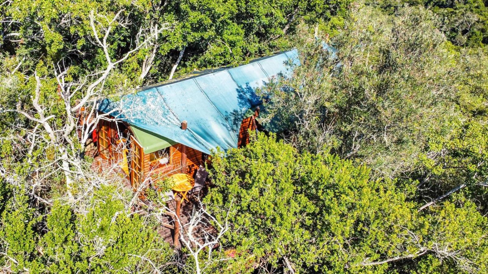 Teniqua Treetops Karatara Settlement Pokoj fotografie