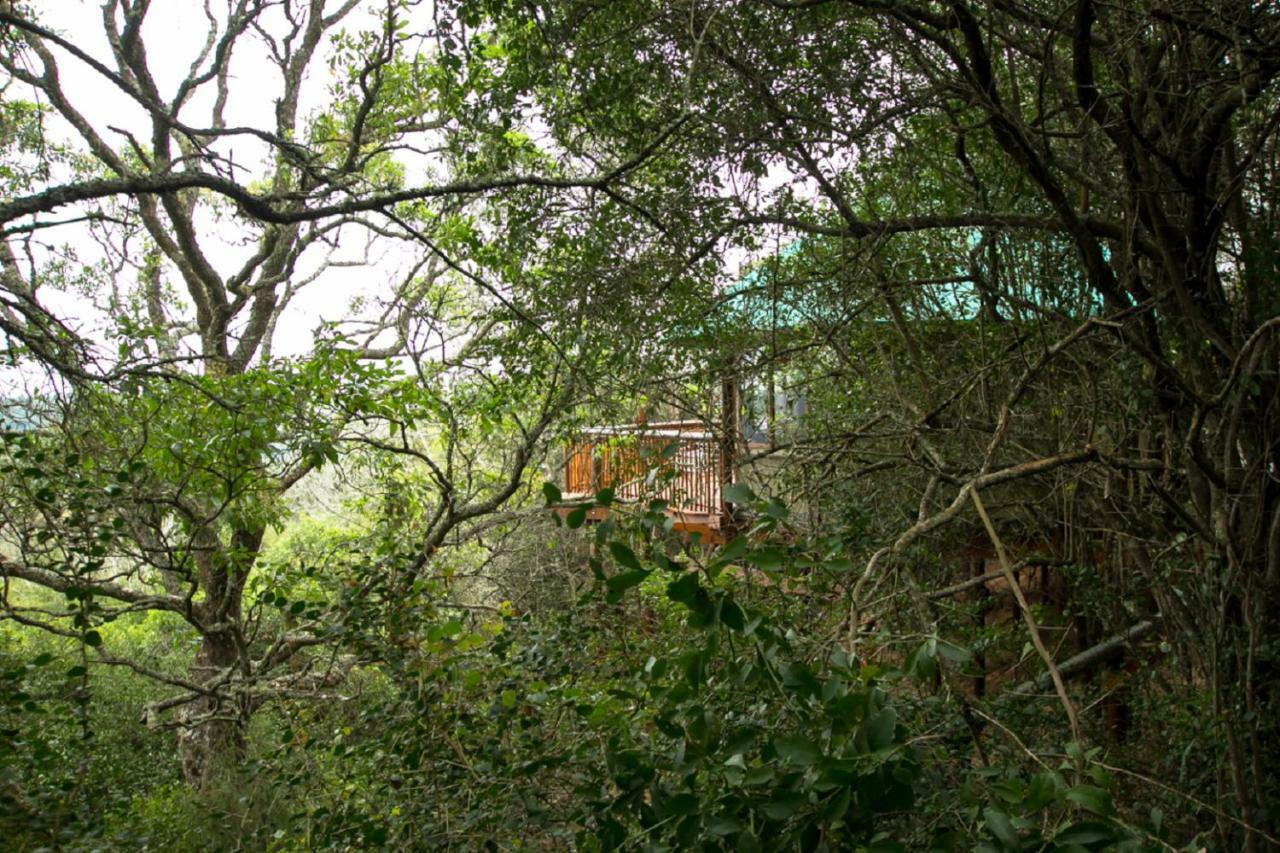 Teniqua Treetops Karatara Settlement Exteriér fotografie