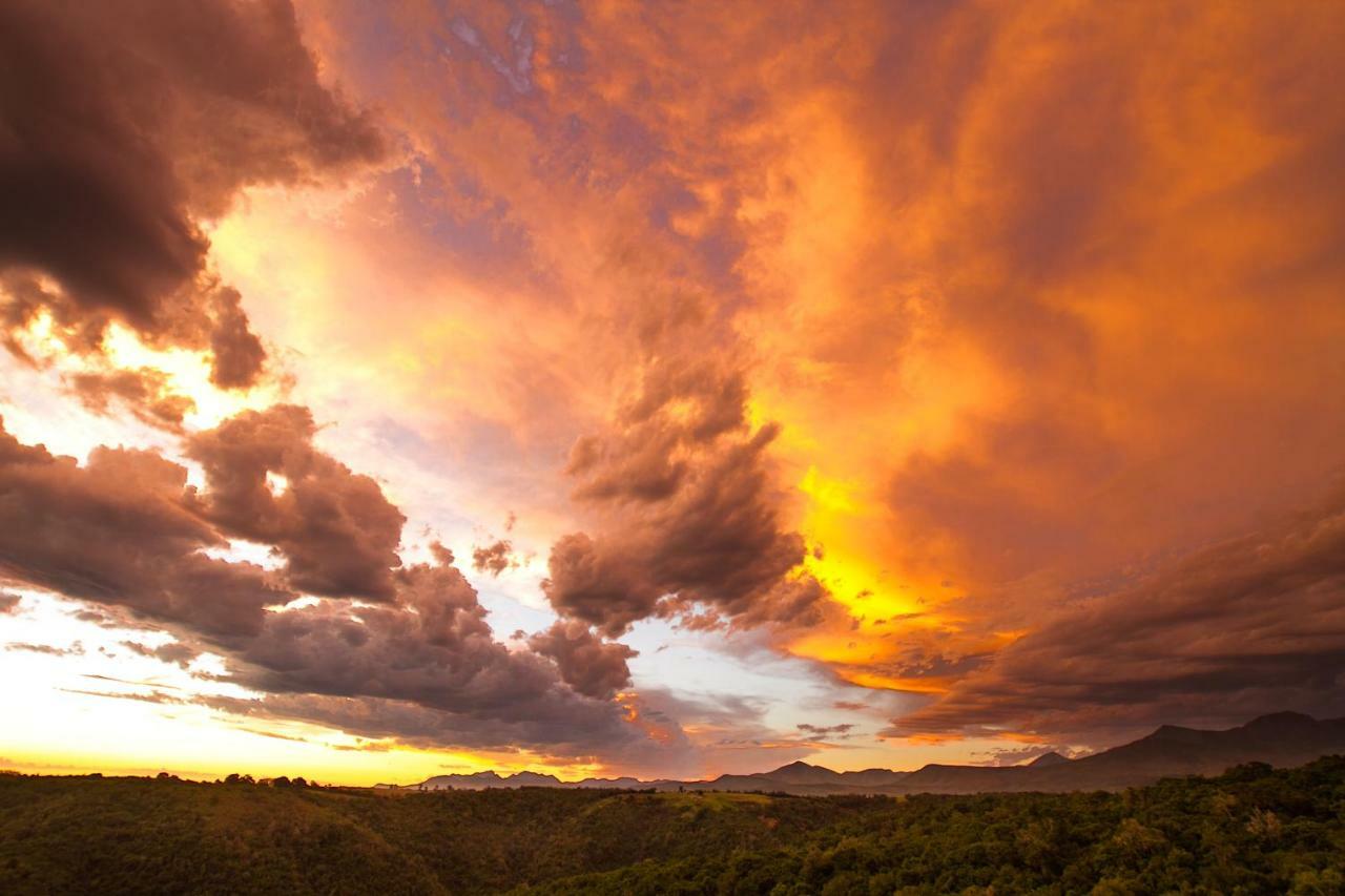 Teniqua Treetops Karatara Settlement Exteriér fotografie