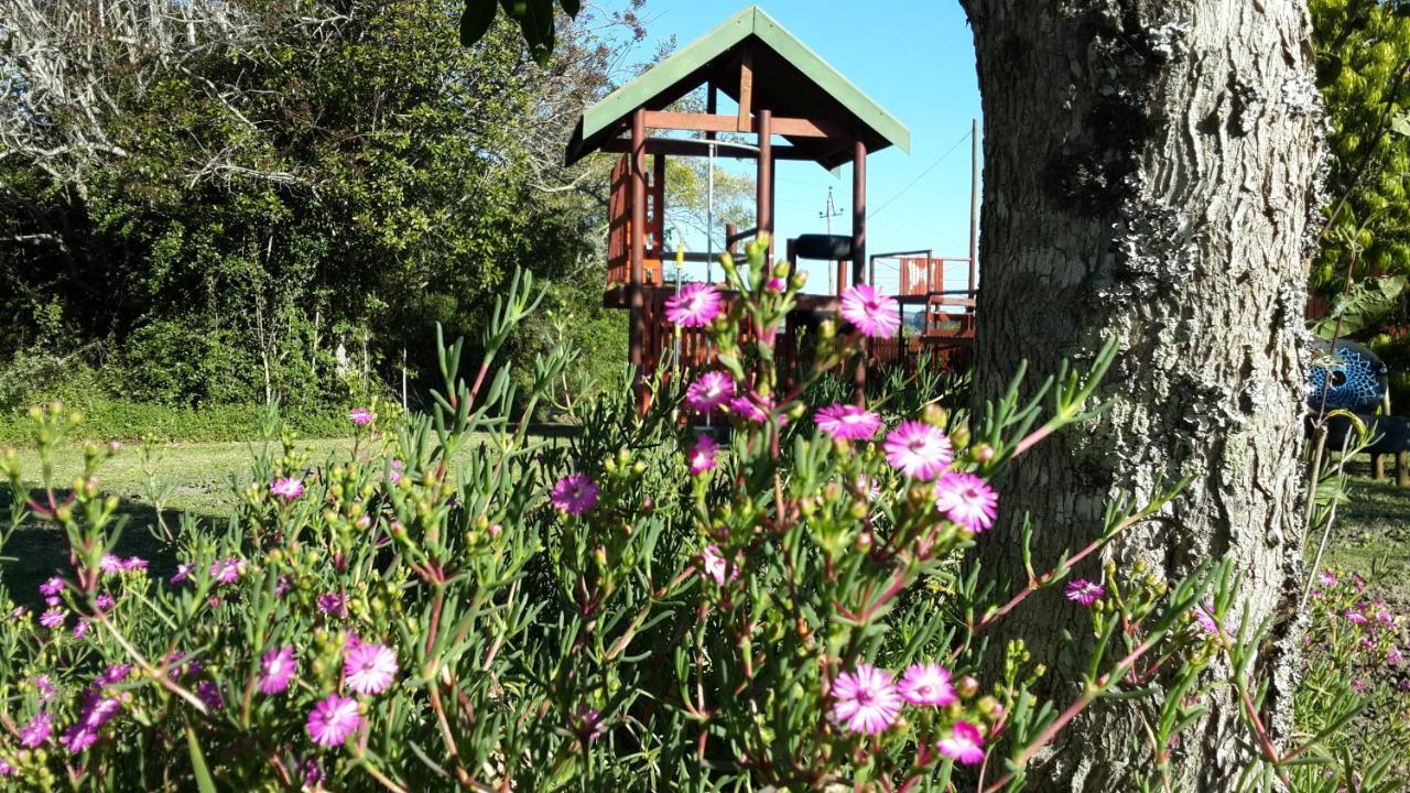 Teniqua Treetops Karatara Settlement Exteriér fotografie